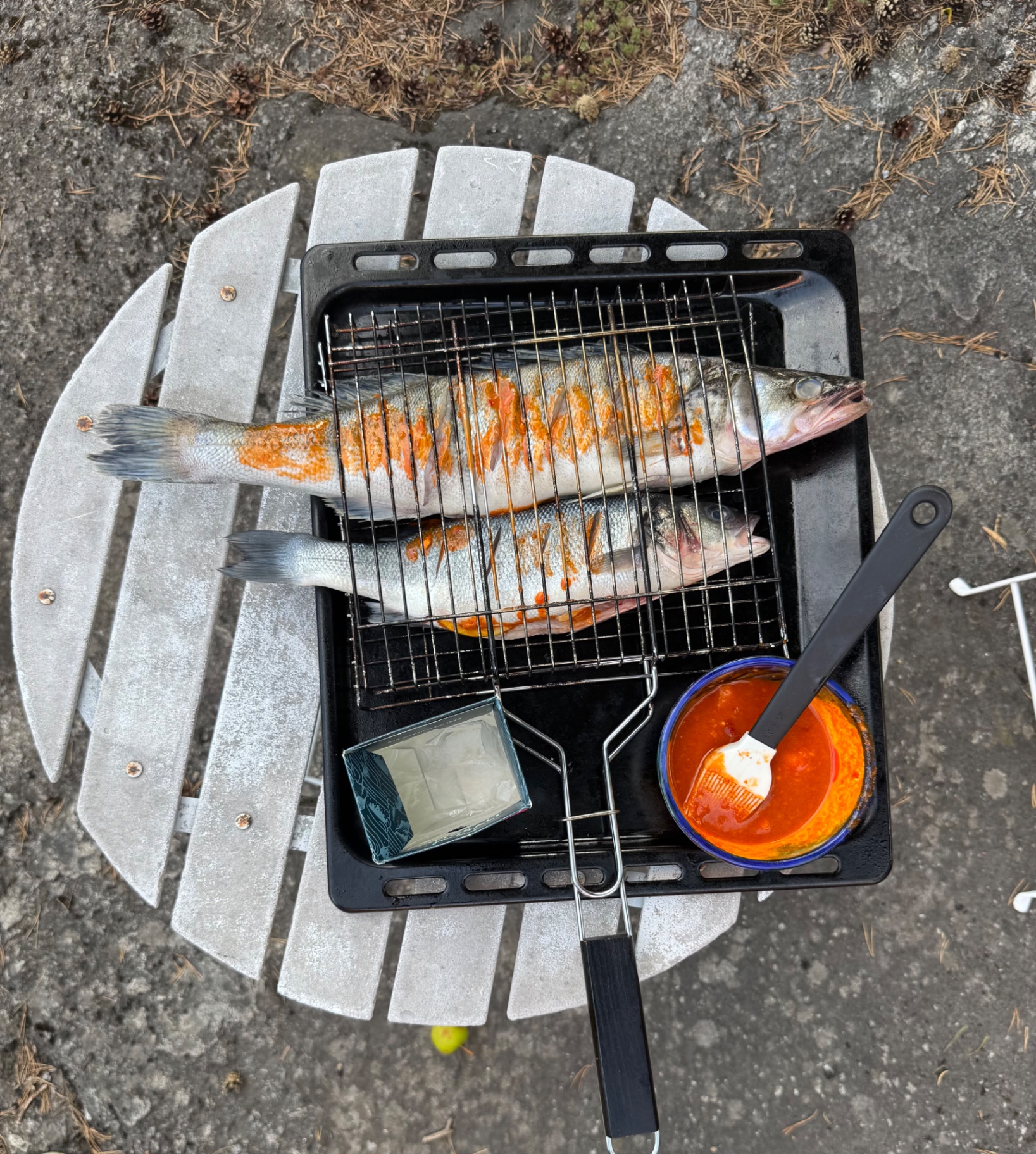 Grillgallret med fiskarna intill kolgrillen utomhus